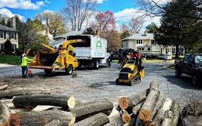 Best Hazardous Tree Removal  in Two Rivers, WI