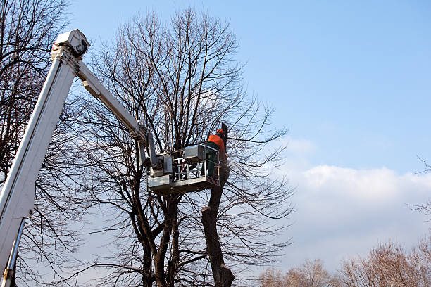 Best Soil Testing and Treatment  in Two Rivers, WI